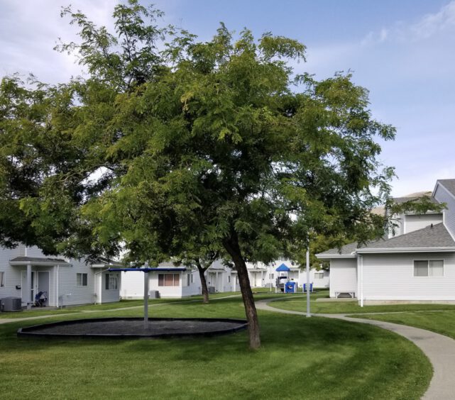 1988 Brocklehurst Neighbourhood